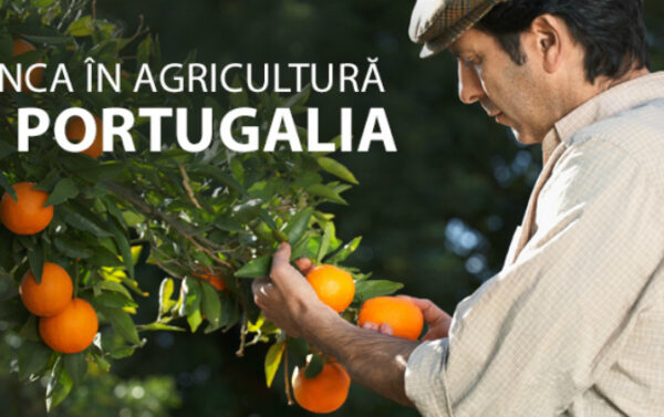 Munca in agricultura in Portugalia
