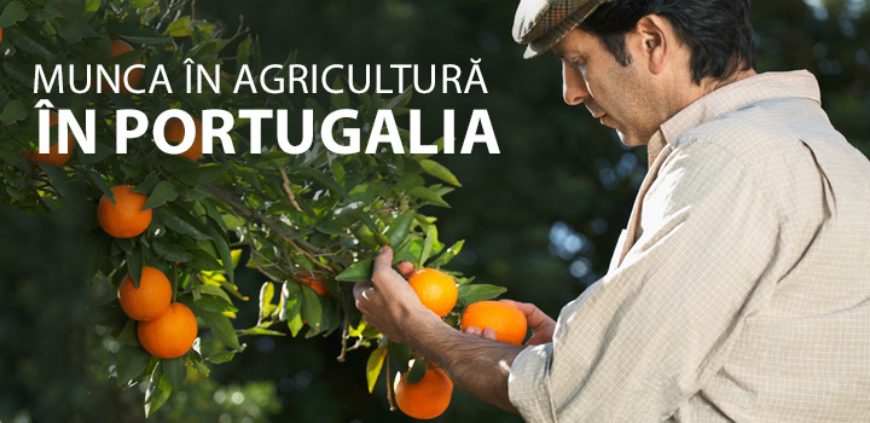 Munca in agricultura in Portugalia
